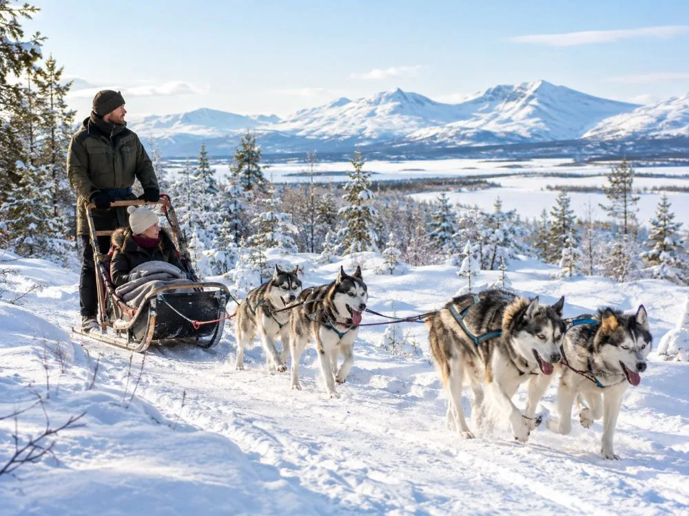 Fun and Easy Dog Sledding Adventure