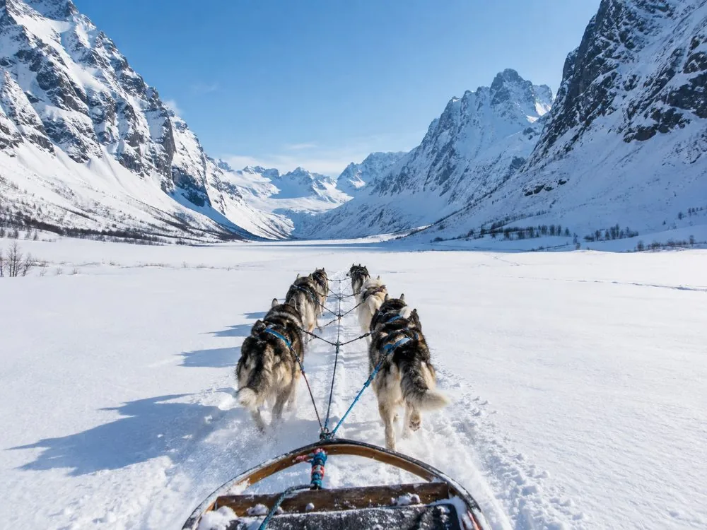 Dog Sledding Adventure in Tamokdalen