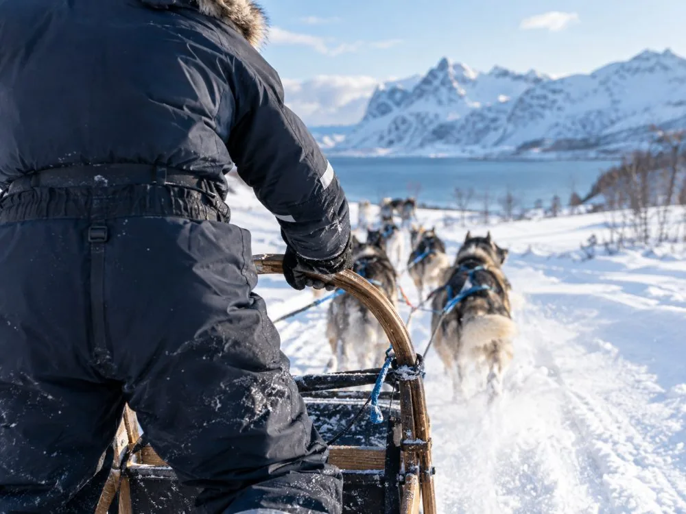 A guest standing on the runners of a sled, hands on the driving bow