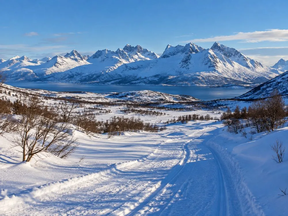 The Lyngen Alps on the skyline behind a snow-covered trail